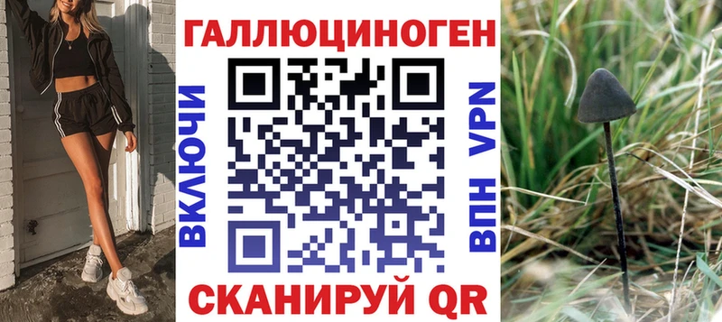 Псилоцибиновые грибы Cubensis  где найти   Нижнекамск 